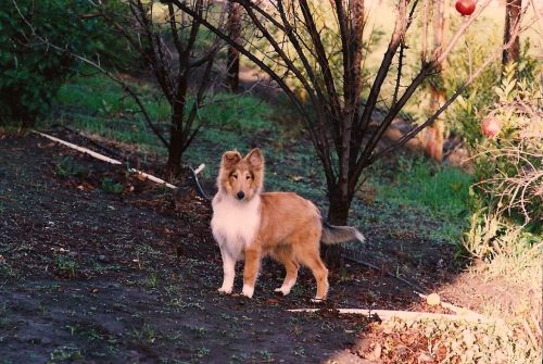 khare-blog80 khare-blog80